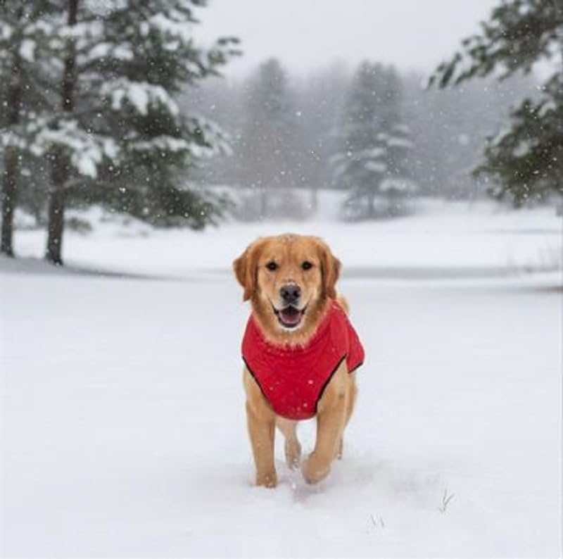 Dog Fur Jacket for Large Dogs (Red - 12-Inch) - Soft, Stretchable Knit Dog Winter Clothes