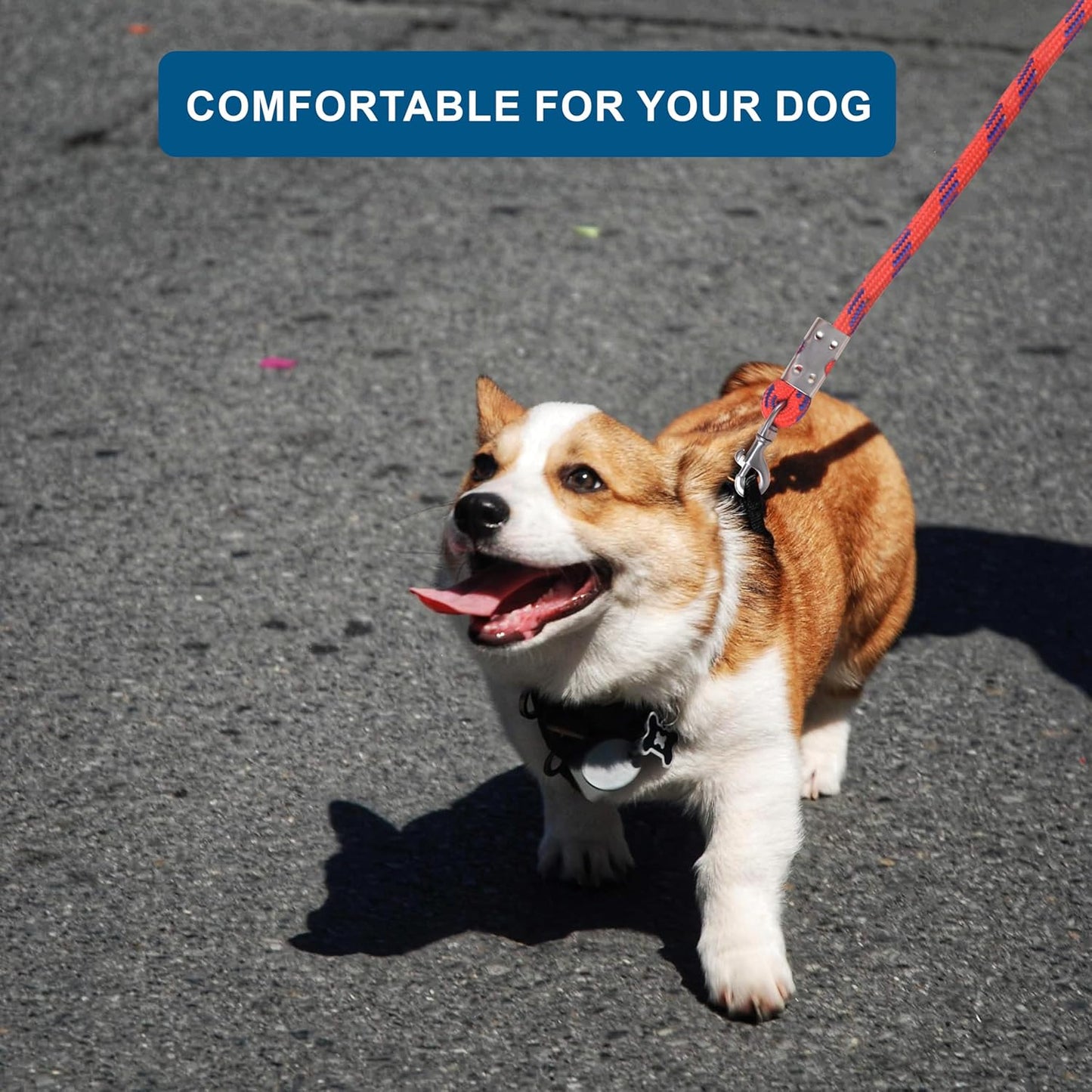 Dog Leash - 5 ft | Strong Leash for Dogs with Heavy Clip | Dog Rope for Medium and Small