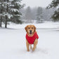 Dog Fur Jacket for Large Dogs (Red - 12-Inch) - Soft, Stretchable Knit Dog Winter Clothes