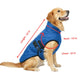 Dog Fur Jacket for Large Dogs (Blue - 12-Inch) - Soft, Stretchable Knit Dog Winter Clothes