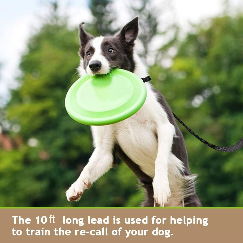 Dog Training Lead Long Rope Cotton Nylon Webbing Recall Obedience Line Leash for Pet