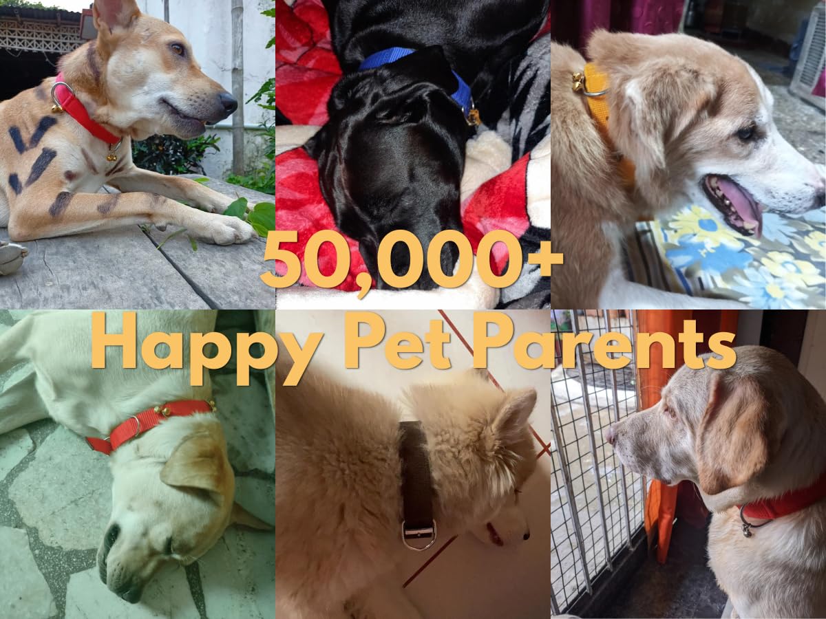 Dog Collar Belt and Leash Set for Large Dogs, Dog Stylish Nylon Leash Belts with Bell