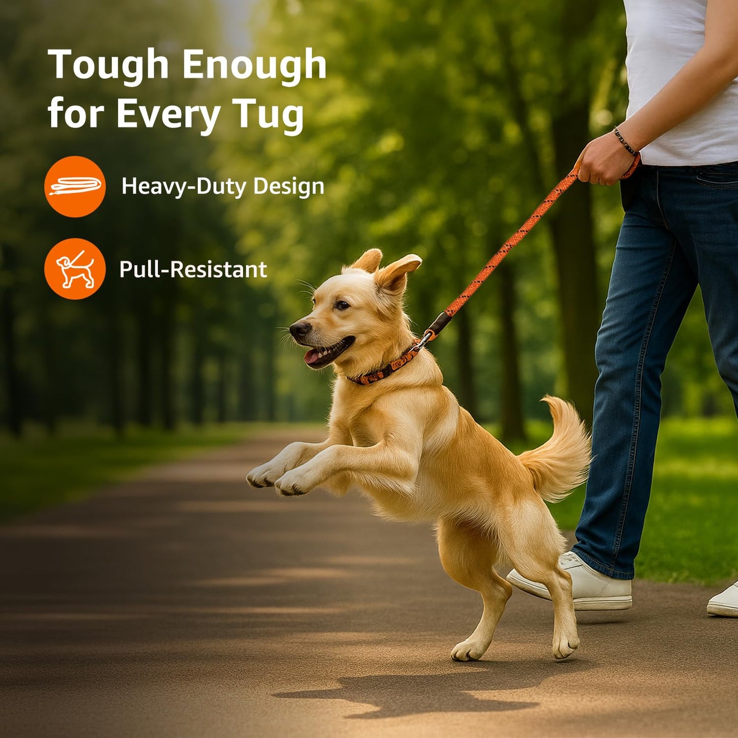 Heavy Duty Reflective Dog Leash 4ft /122 cm Long Nylon Rope Leash with Anti-Slip