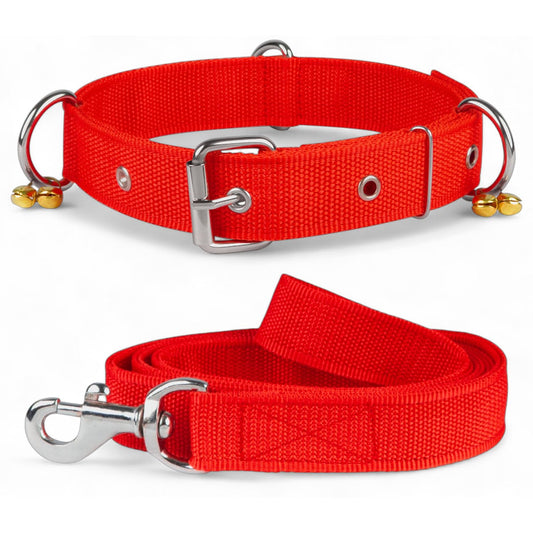 Dog Collar Belt and Leash Set for Large Dogs, Dog Stylish Nylon Leash Belts with Bell
