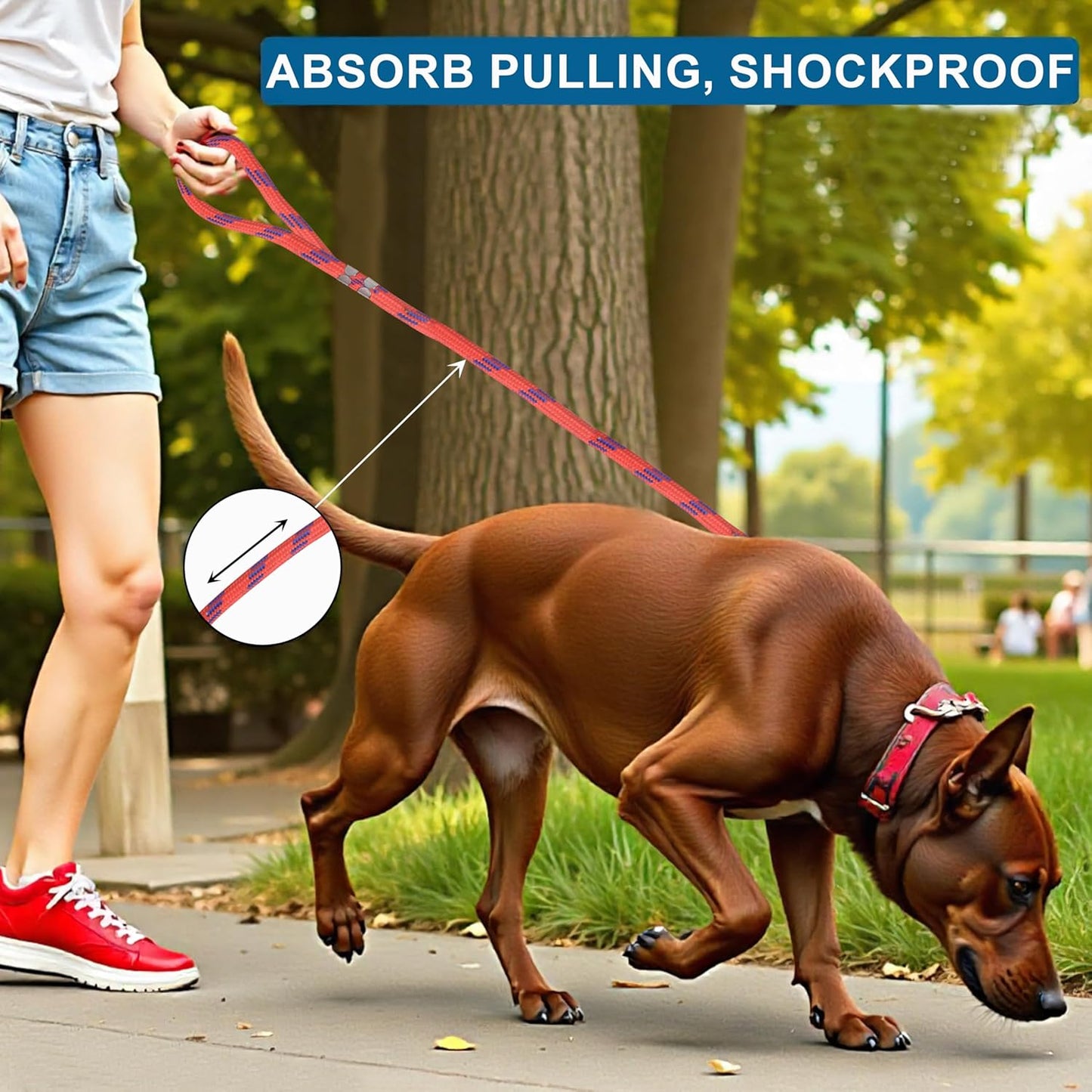 Dog Leash - 5 ft | Strong Leash for Dogs with Heavy Clip | Dog Rope for Medium and Small